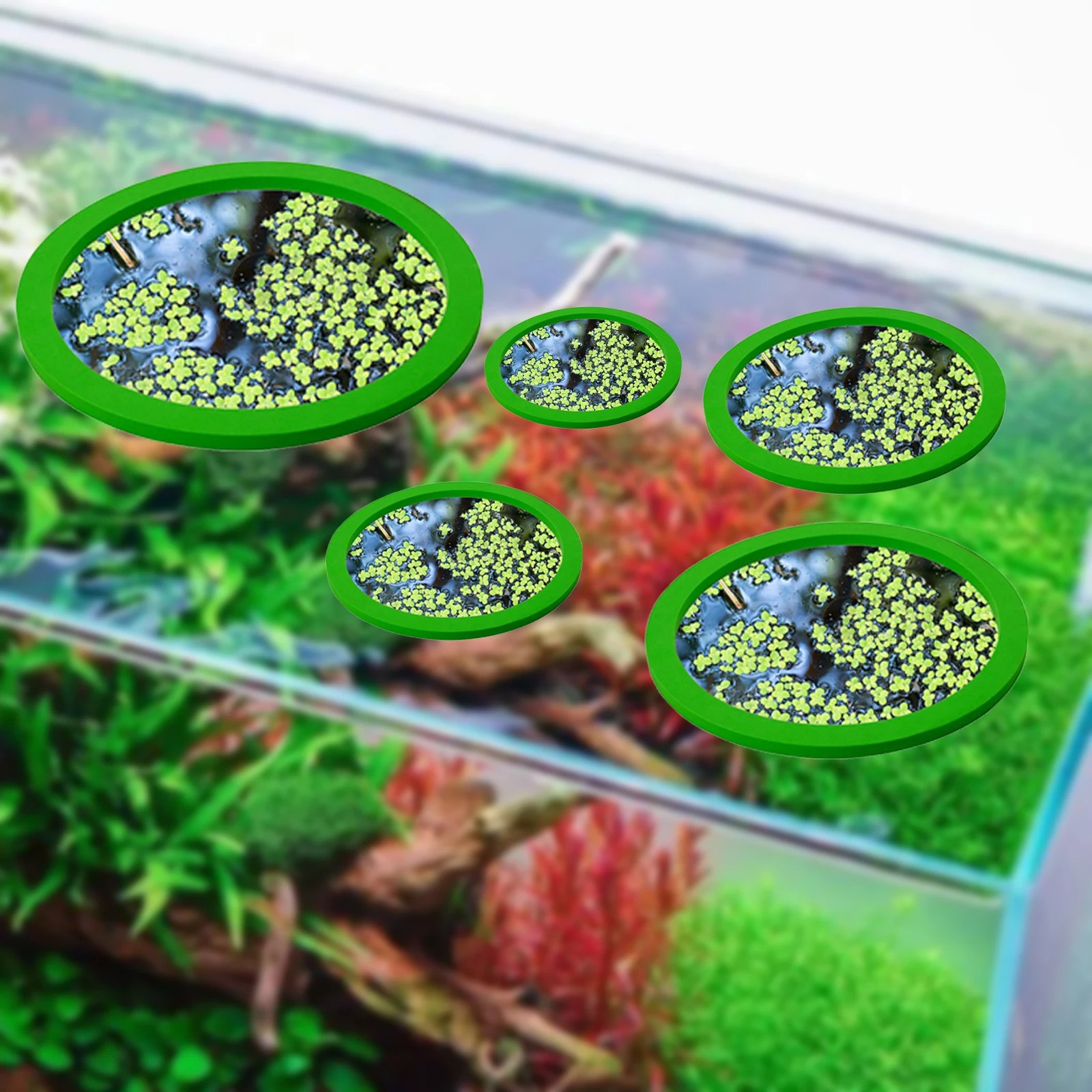 5Pcs EVA Fish Feeding Ring Aqu - огляд і ціна Ocean Aquarium