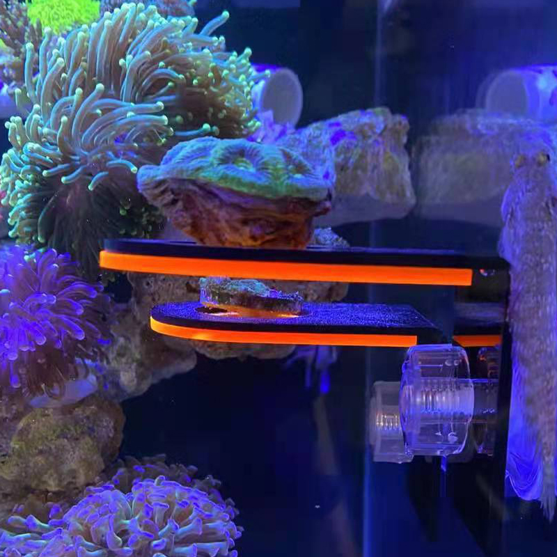 Aquarium Acrylic Fluorescent C - огляд і ціна Marine Coral